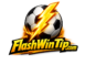 flashwintip.com
